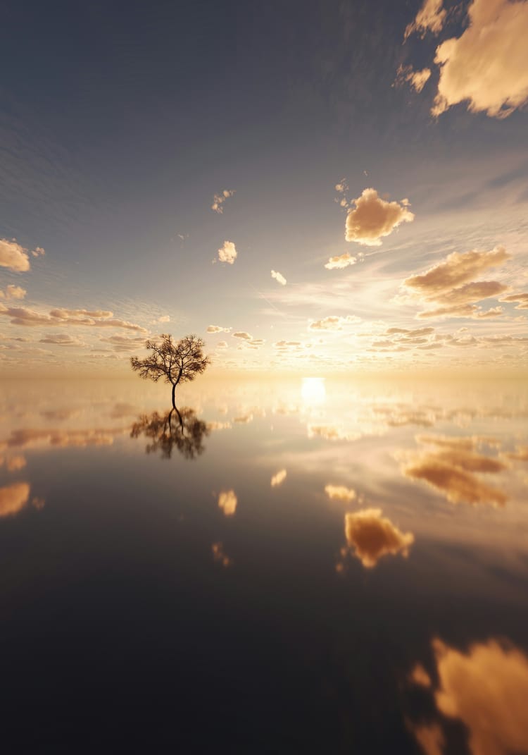 Focusing, Chapter 3, Continued: The Idea Of The Implicit