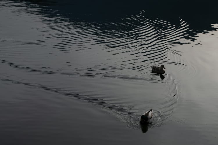 Focusing, Chapter 2: The Missing Element Of Traversal