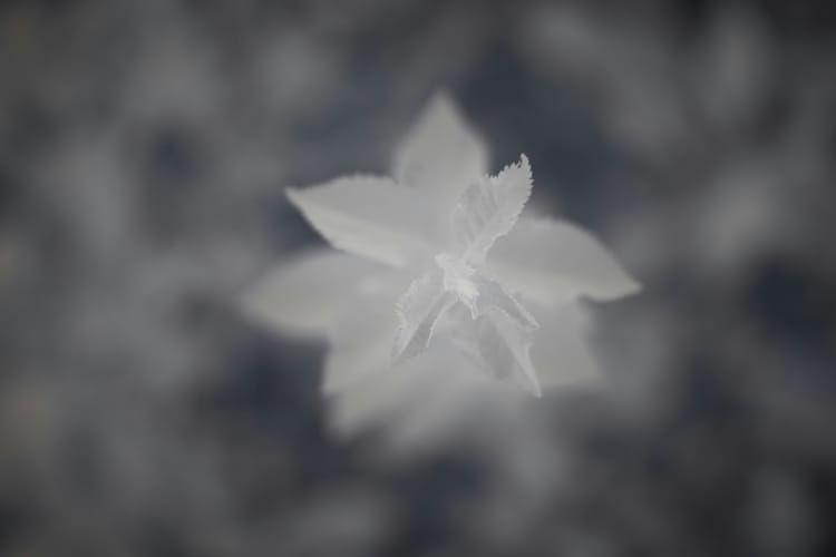 Focusing, Chapter 4, Continued: Extra Advice If The Steps Are Hard