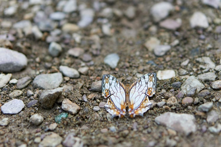 Focusing, Chapter 7: Boneless Relaxation?