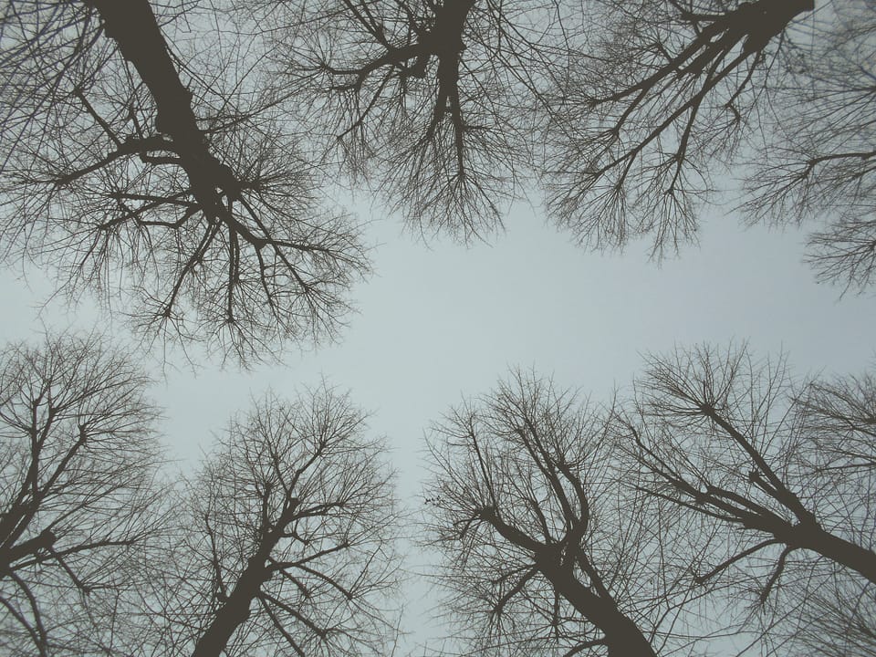 Weird Client Session