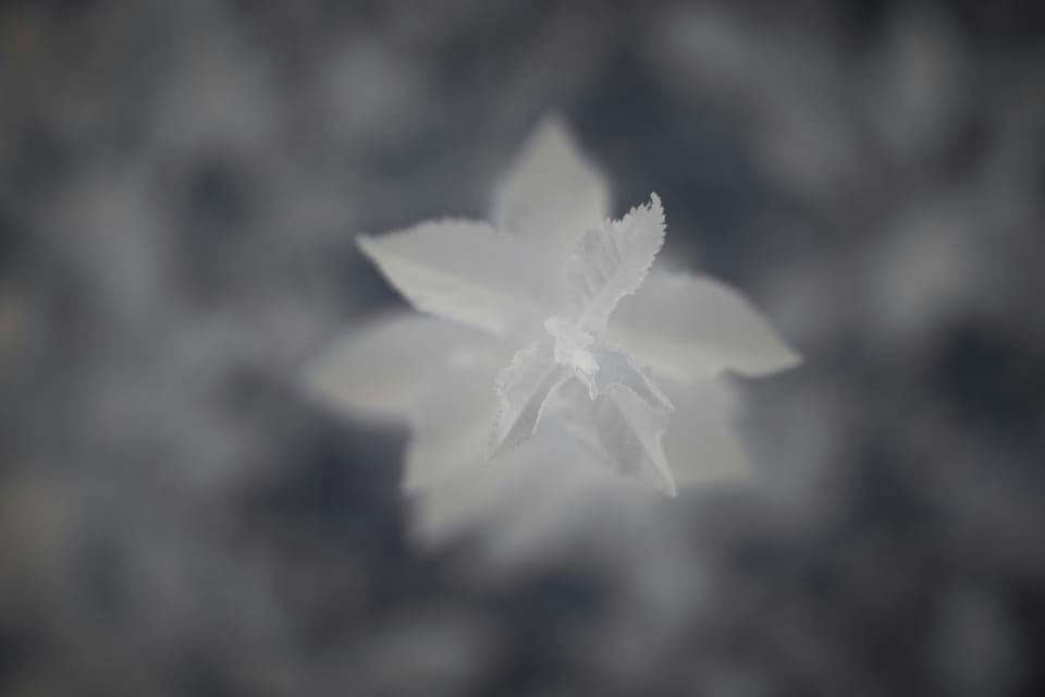 Focusing, Chapter 4, Continued: Extra Advice If The Steps Are Hard