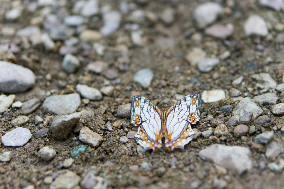 Focusing, Chapter 7: Boneless Relaxation?